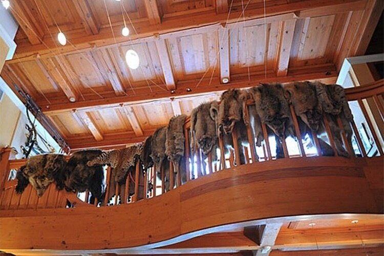 «Там целая философия»: как выглядит дом 78-летнего Никиты Михалкова на Николиной Горе