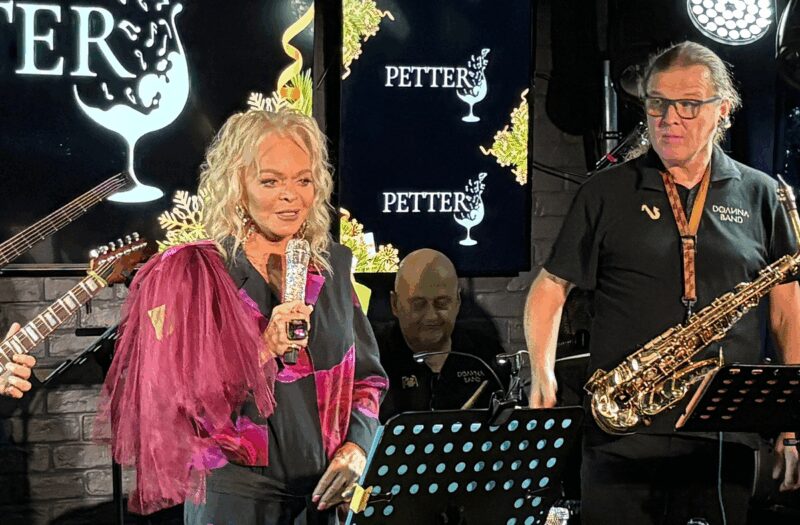 «За такую сумму можно было бы хотя бы минералку»: почему концерты Ларисы Долиной сначала «провалились», а потом стали аншлаговыми