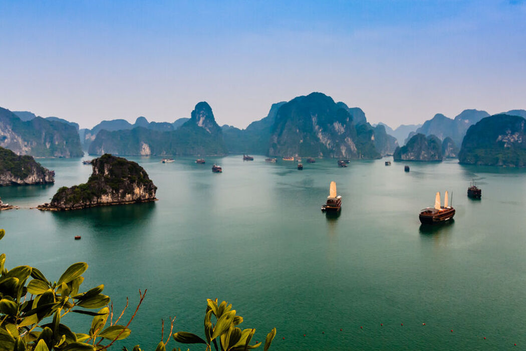 «Ксюша покрылась укусами, которые сильно чесались»: Российских туристок во Вьетнаме атаковали ядовитые жуки