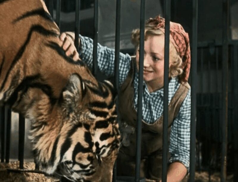 «Я не хочу сыграть эту роль посмертно!»: как актриса Касаткина пережила тигров, Освенцим и мужа, но не смогла простить одну «уборку»