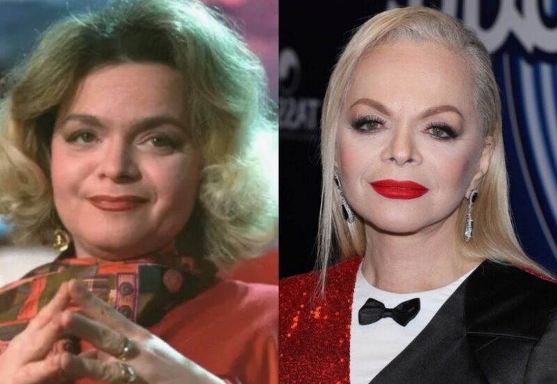 Лариса Долина: преображение артистки спустя десятилетия.