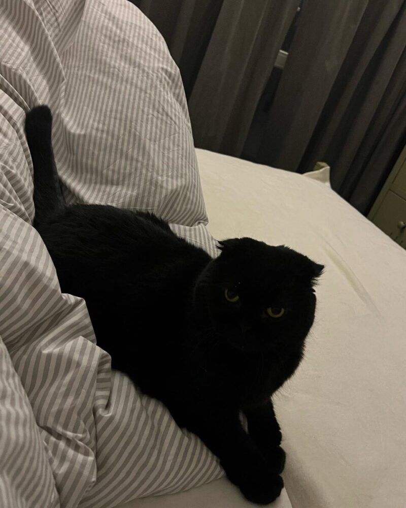 «Не приму помощи от бывших»: как 50-летняя Ирина Розанова обустроила уютное гнездышко без мужской поддержки