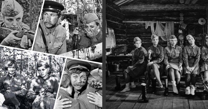 «Ни за что с этим хамом дела иметь не буду!»: как 21-летняя Ирина Шевчук попала в «А зори здесь тихие…» и пережила предательство 35-летнего актера