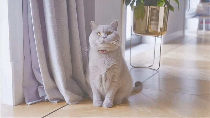 «Это не просто дом, это продолжение меня!»: Александр Рогов за 2 года объединил три квартиры в 45-метровую гардеробную с выходом на крышу