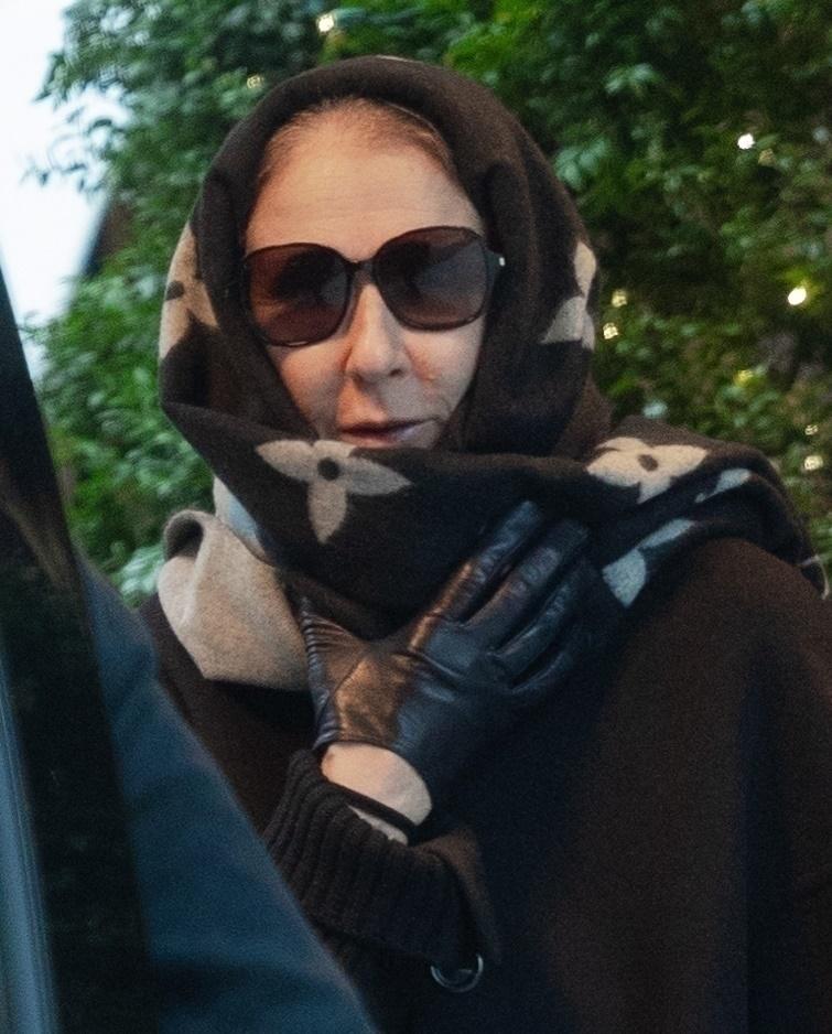 Трагедия Селин Дион: болезнь, изменившая звезду до неузнаваемости