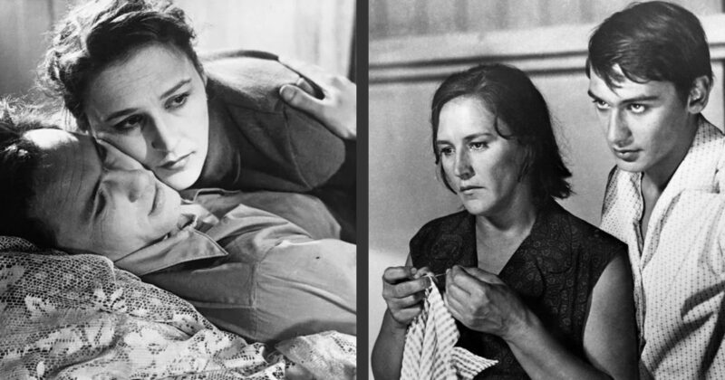 «Это не мой ребёнок!»: как внук Нонны Мордюковой и Вячеслава Тихонова, от которого отказался отец, нашёл себя в 44 года