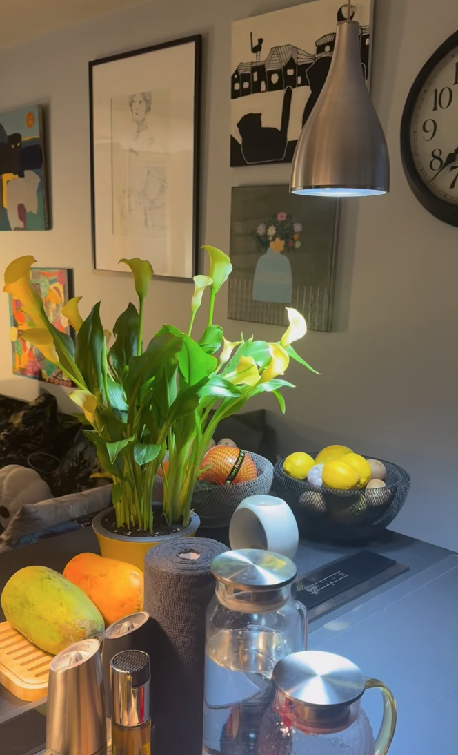 «Не приму помощи от бывших»: как 50-летняя Ирина Розанова обустроила уютное гнездышко без мужской поддержки