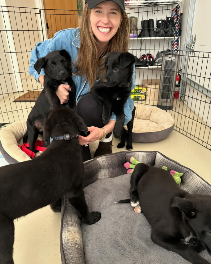 Кэтрин Шварценеггер, автор нескольких книг.