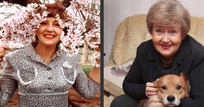 Звезда советского ТВ, которую обожали миллионы, после 80 лет стала затворницей: Светлана Жильцова – как «белая ворона» экрана, прожив почти 60 лет в браке, в 89 лет замкнулась от всего мира