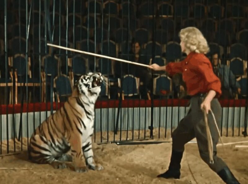 «Я не хочу сыграть эту роль посмертно!»: как актриса Касаткина пережила тигров, Освенцим и мужа, но не смогла простить одну «уборку»