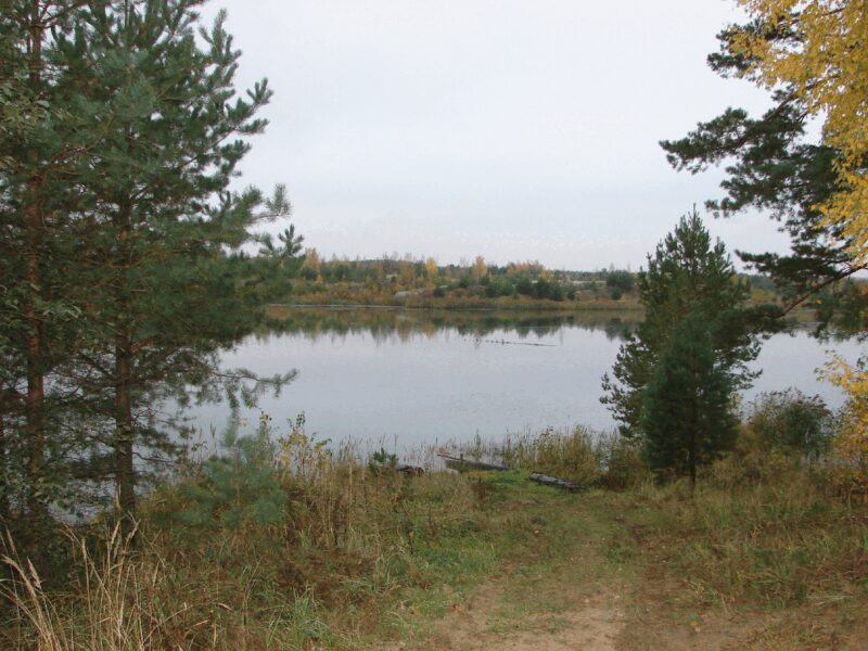 «Настоящий мужской уголок»: как Андрей Соколов обустроил свой загородный дом, где брутальность сочетается с уютом