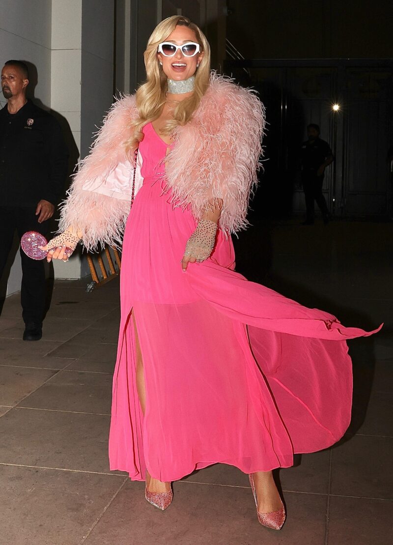 Пэрис Хилтон: от «тупой блондинки» до борца за справедливость