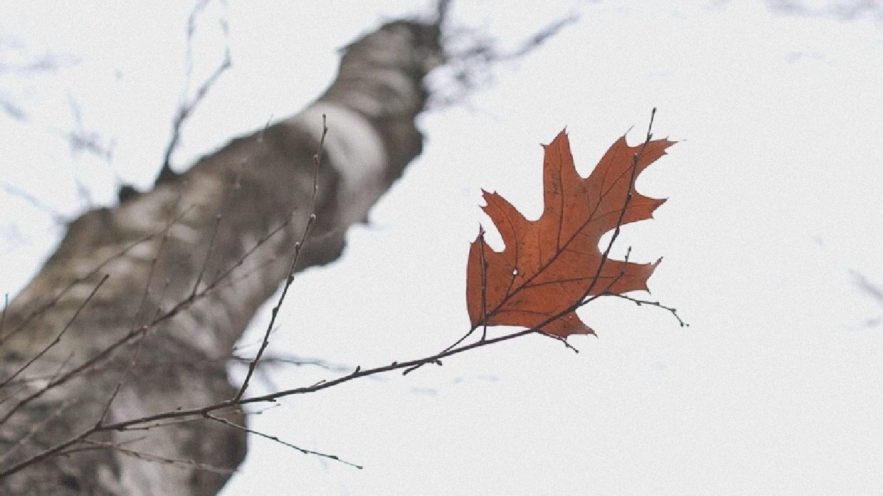 Место исчезновения семьи Усольцевых стало туристической локацией