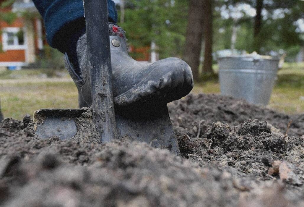 Агроном раскрыл правду: почему перекопка огорода — «варварство»