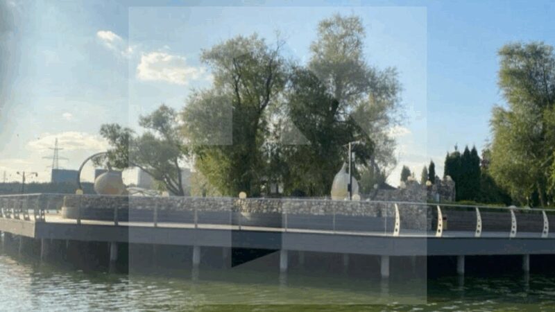 Схема береговой полосы, ставшей предметом судебного разбирательства с артистом.