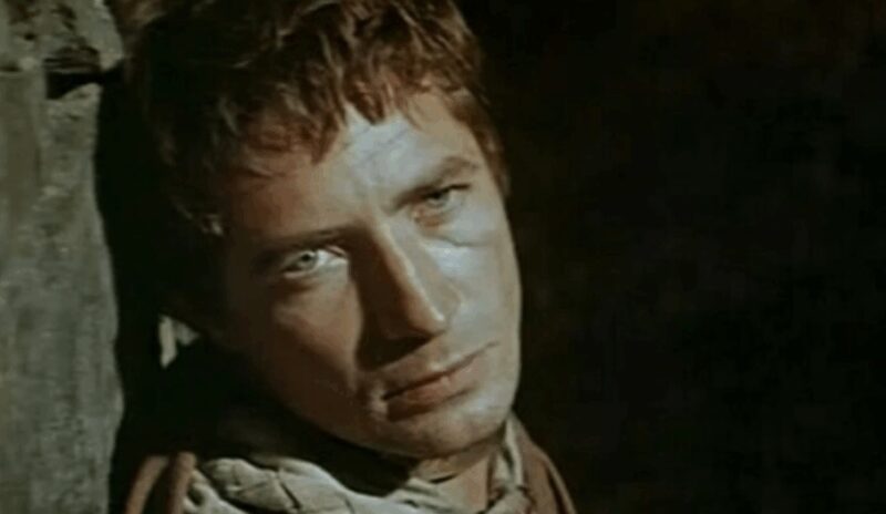 Взгляд, полный глубины и печали.