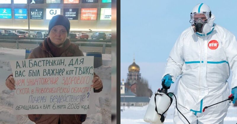 Задержана у стен правительства: «Уничтожение поголовья может преследовать цель лишить людей их имущества» – как фермер Светлана Панина борется за 200 голов скота и свободу мужа, обвиняемого в поджоге на 8 марта