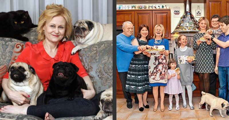 «Мне нужен защитник, а не вор!»: почему 71-летняя Дарья Донцова считает развод из-за куска торта нелепостью, а автор статьи с ней не согласна