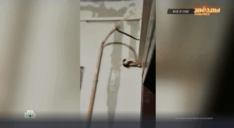 Жанна Фриске: светлая память о таланте и искренности, навсегда оставшихся в сердцах миллионов.