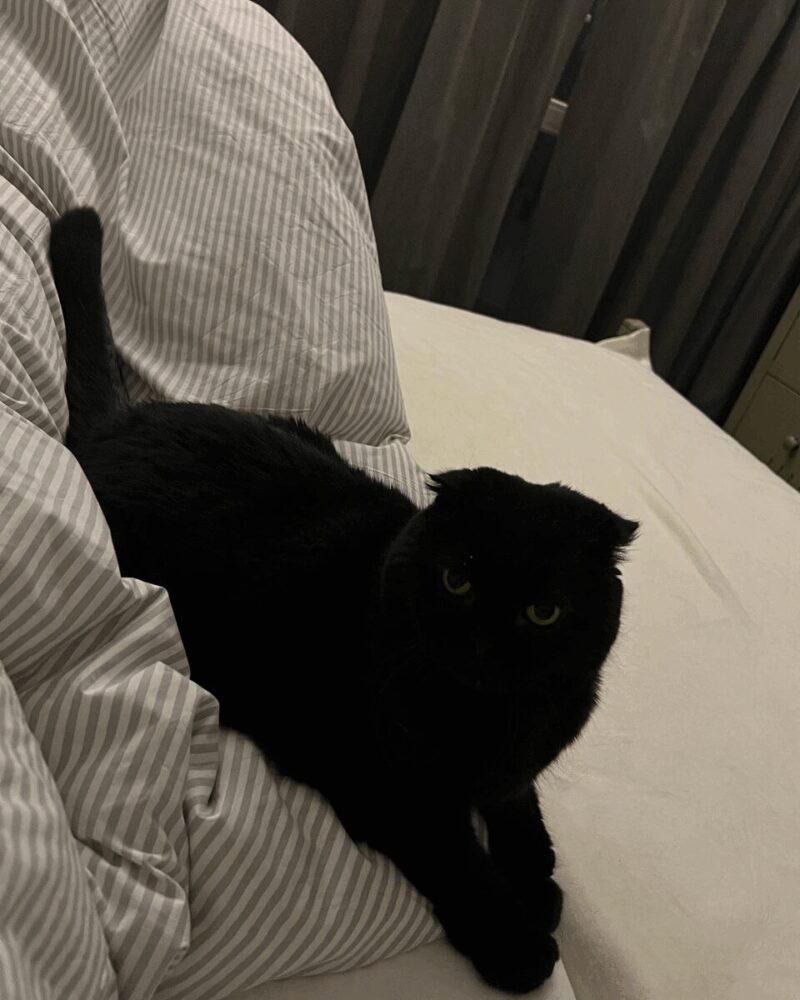 Уголок для уединения в спальне, оформленный в молочных тонах.