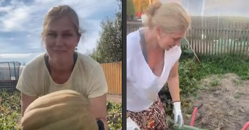 От глубинки до огорода: Как 42-летняя звезда «Серафимы прекрасной» признаётся, что «в первую очередь мама троих детей» и счастлива в своём доме