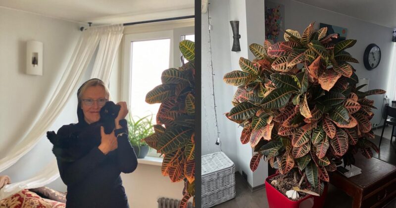 Трижды уходила, оставляя лишь чемодан : Ирина Розанова: как актриса в 50 лет обрела свой дом и сохранила «тёплые» отношения с бывшим мужем