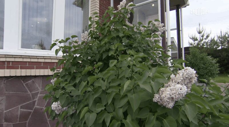 Увлечение йогой помогает сохранить гармонию.