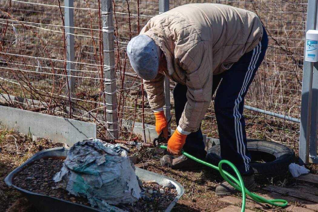Какие весенние ошибки дачников могут испортить урожай: советы эксперта