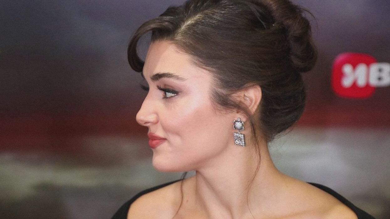 Ханде Эрчел: «Выдвинутые против меня обвинения не соответствуют действительности»