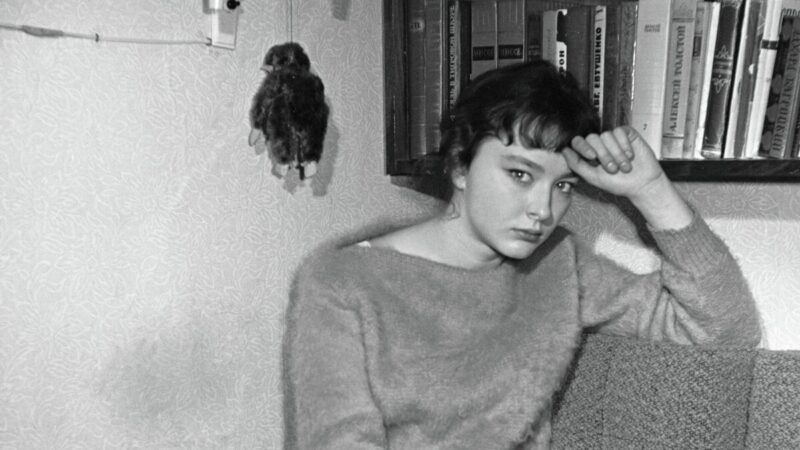 Анастасия Вертинская: актриса с уникальным даром перевоплощения.