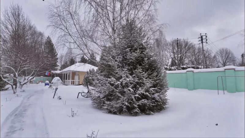 Моё место силы: как Алла Довлатова создала дом 1956 года, где четверо детей спят на морозе, а она «чувствует себя моложе»