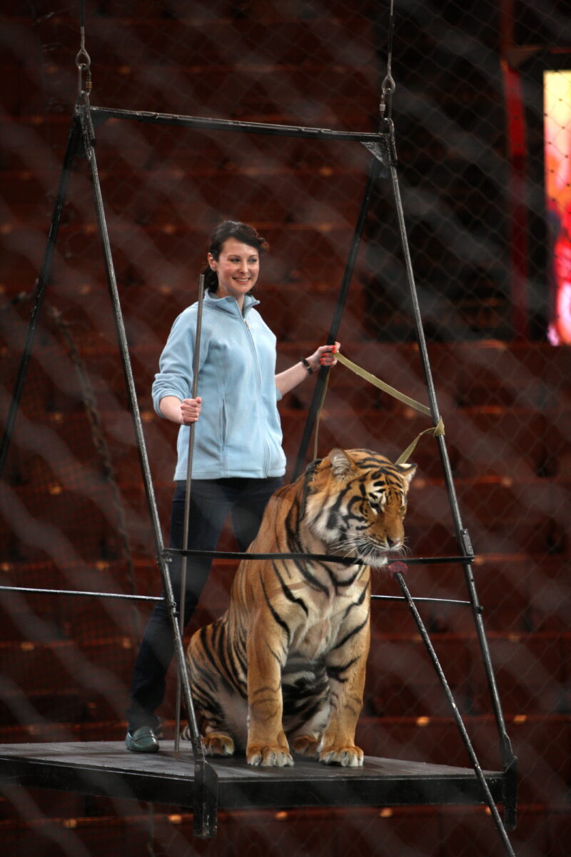 Последняя любовь Ольги Погодиной: Путь от детских недугов до триумфа и внезапной потери