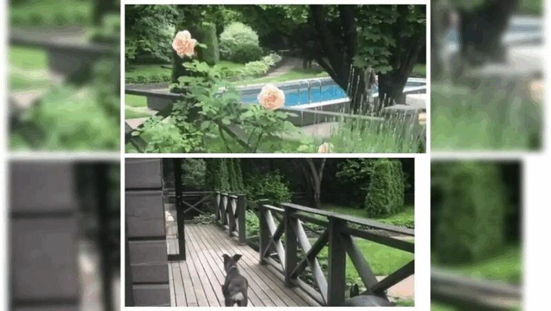 Просторная веранда – идеальное место для семейных обедов и дружеских встреч.