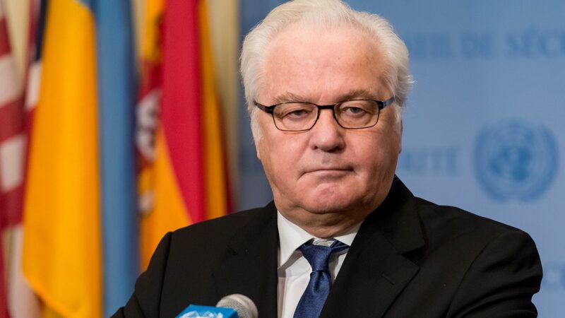 Виталий Чуркин: отец Анастасии, выдающийся российский дипломат.