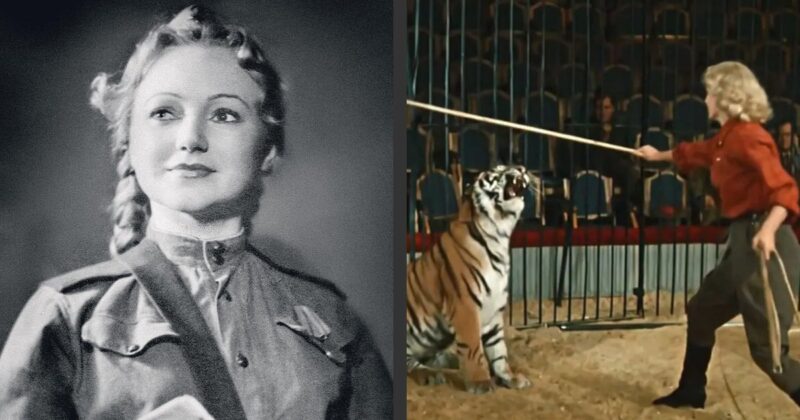 «Я думала, сойду с ума этой ночью»: как Людмила Касаткина, пережившая мужа на 11 дней, покорила тигров и стала опорой для Высоцкого