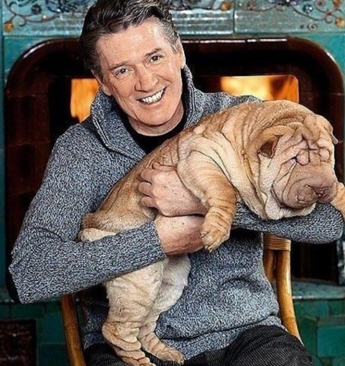 Александр Абдулов: история о безграничной любви к животным и самом жестоком пранке в его жизни