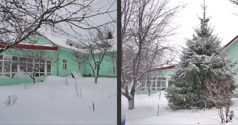 Моё место силы: как Алла Довлатова создала дом 1956 года, где четверо детей спят на морозе, а она «чувствует себя моложе»