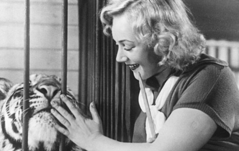 Кадр из фильма «Укротительница тигров», принесшего Касаткиной всесоюзную славу