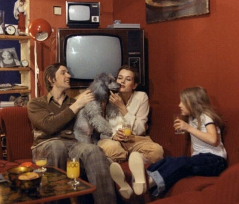 Семья артиста с подобранным пуделем, которому нашли заботливый дом.