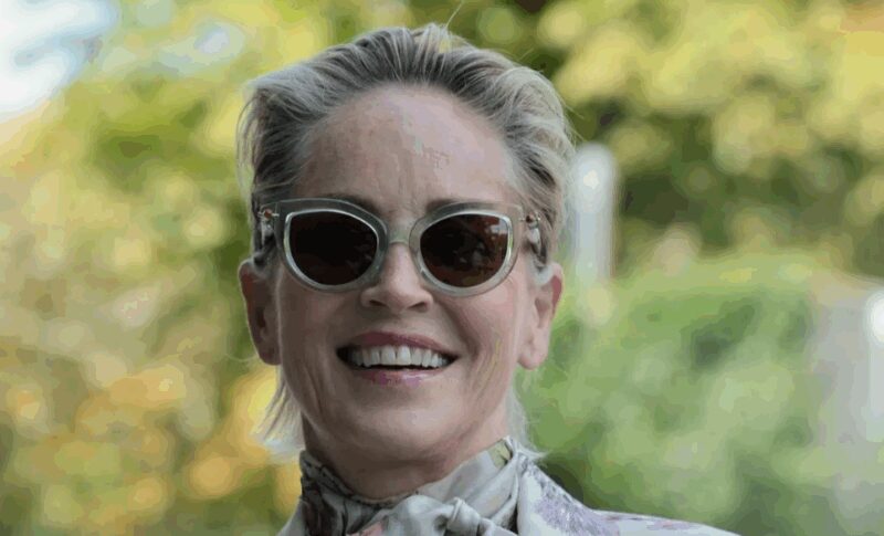 Знаменитая голливудская актриса Шерон Стоун