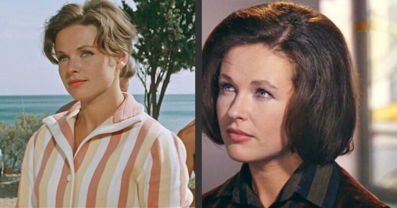 Наталья Фатеева: как звезда «Трёх плюс двух» пережила предательства, одиночество и борется за достойную старость