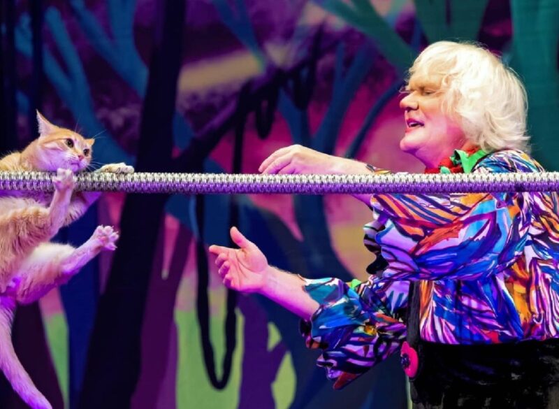 Тайны "кошачьего папы": Борьба с зависимостью, суды и инфаркт на сцене