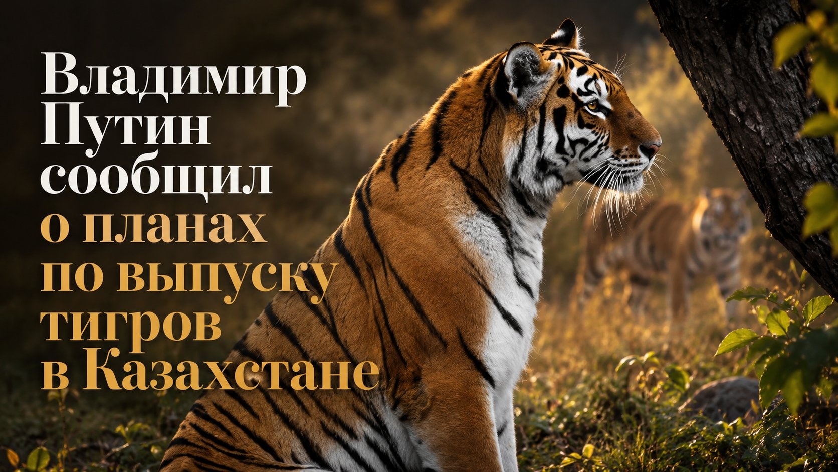 Владимир Путин сообщил о планах по выпуску тигров в Казахстане