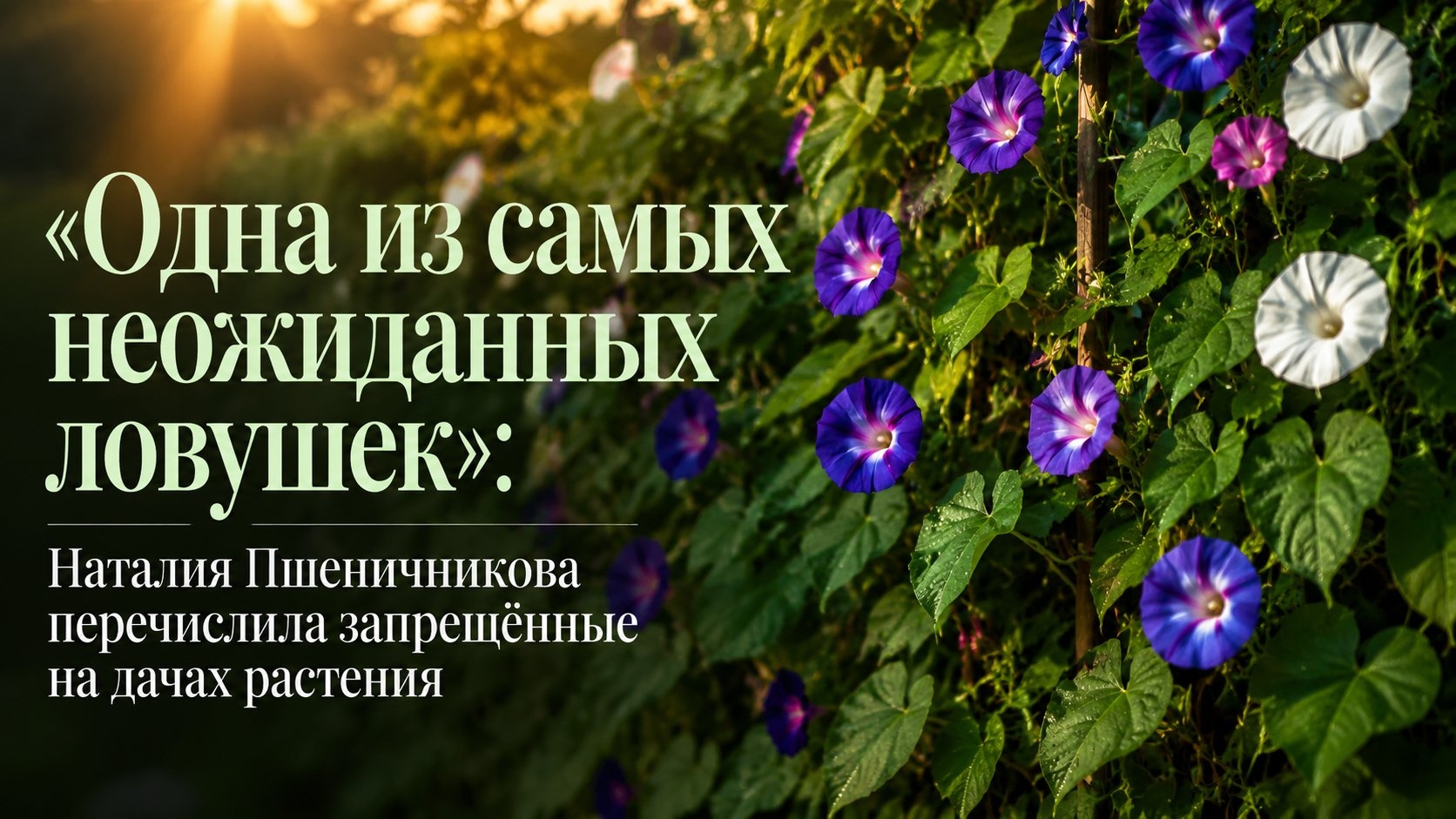 «Одна из самых неожиданных ловушек»: Наталия Пшеничникова перечислила запрещённые на дачах растения