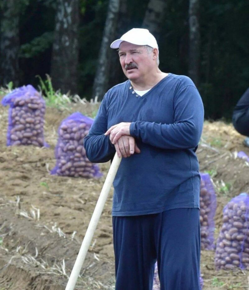 Кризис доверия: как Лукашенко стал символом надежды для миллионов россиян