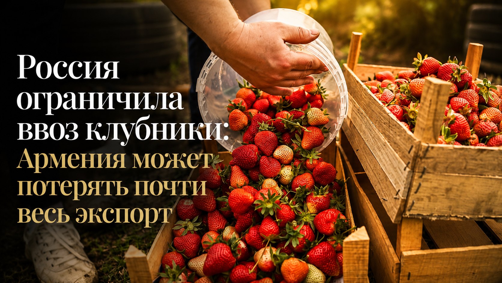 Россия ограничила ввоз клубники: Армения может потерять почти весь экспорт