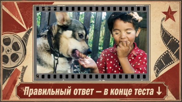 Тест: узнаете ли 7 известных советских  фильмов по одному кадру?