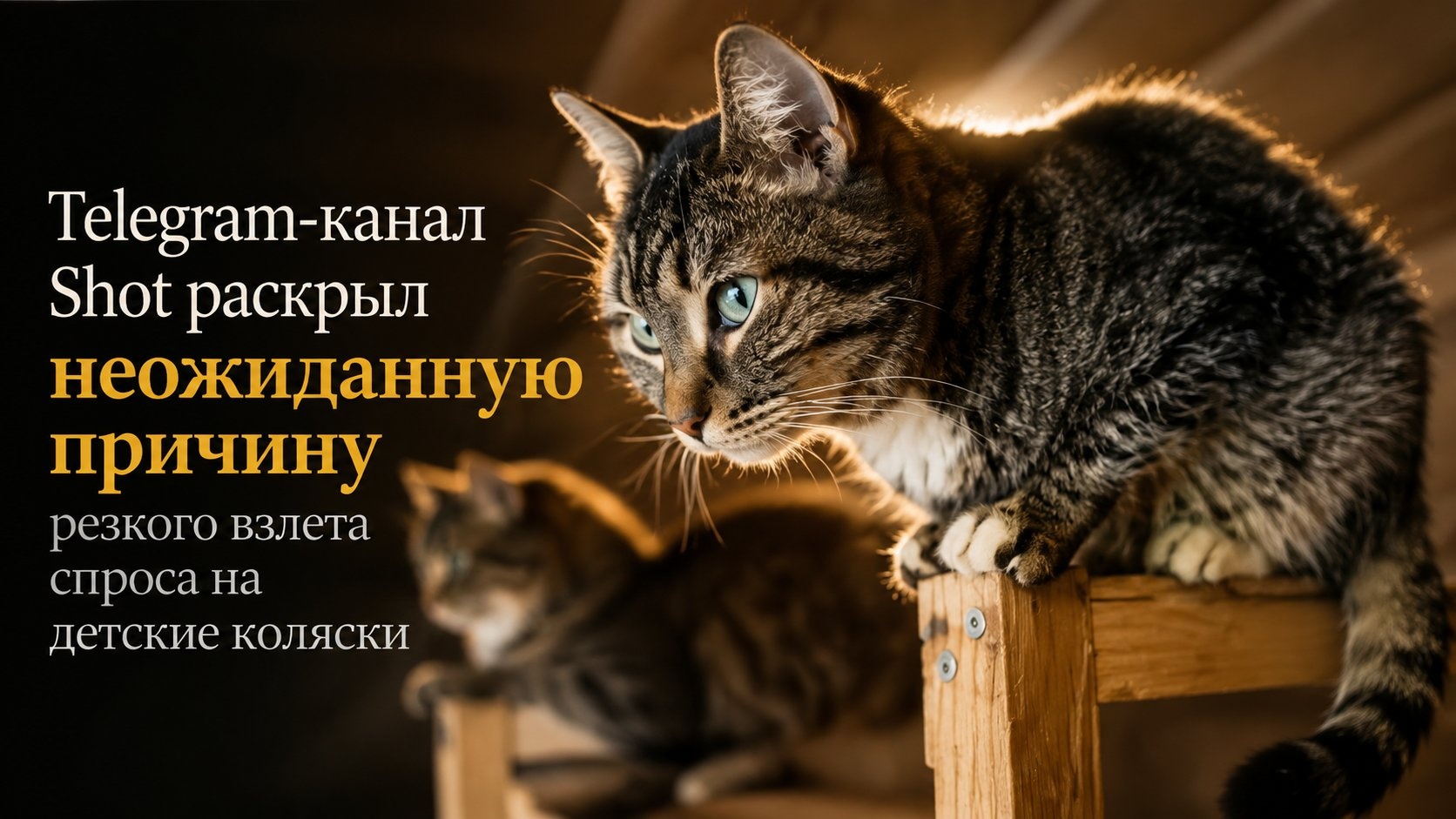 Telegram-канал Shot раскрыл неожиданную причину резкого взлета спроса на детские коляски