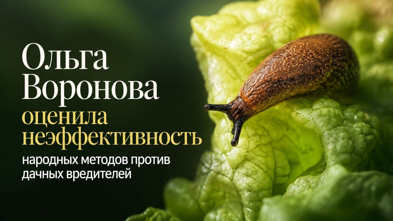Ольга Воронова оценила неэффективность народных методов против дачных вредителей