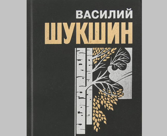В стороне от ток-шоу и семейных споров: как живет старшая дочь Василия Шукшина Екатерина и почему она годами избегала фильмов отца
